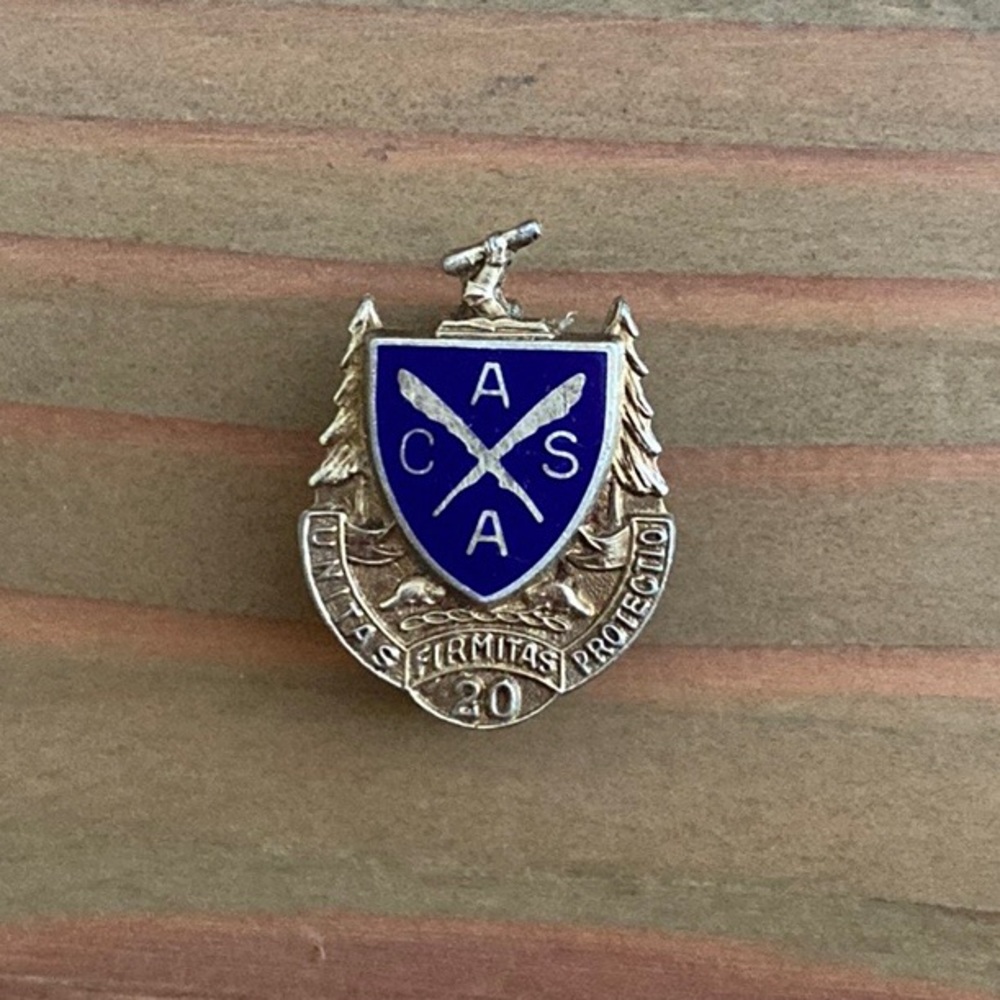 Vintage AUPE 20 Year Pin